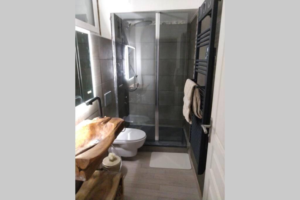 Chaleureux Petit Appartement De 4 Couchages Saint-Étienne-de-Tinée Zewnętrze zdjęcie