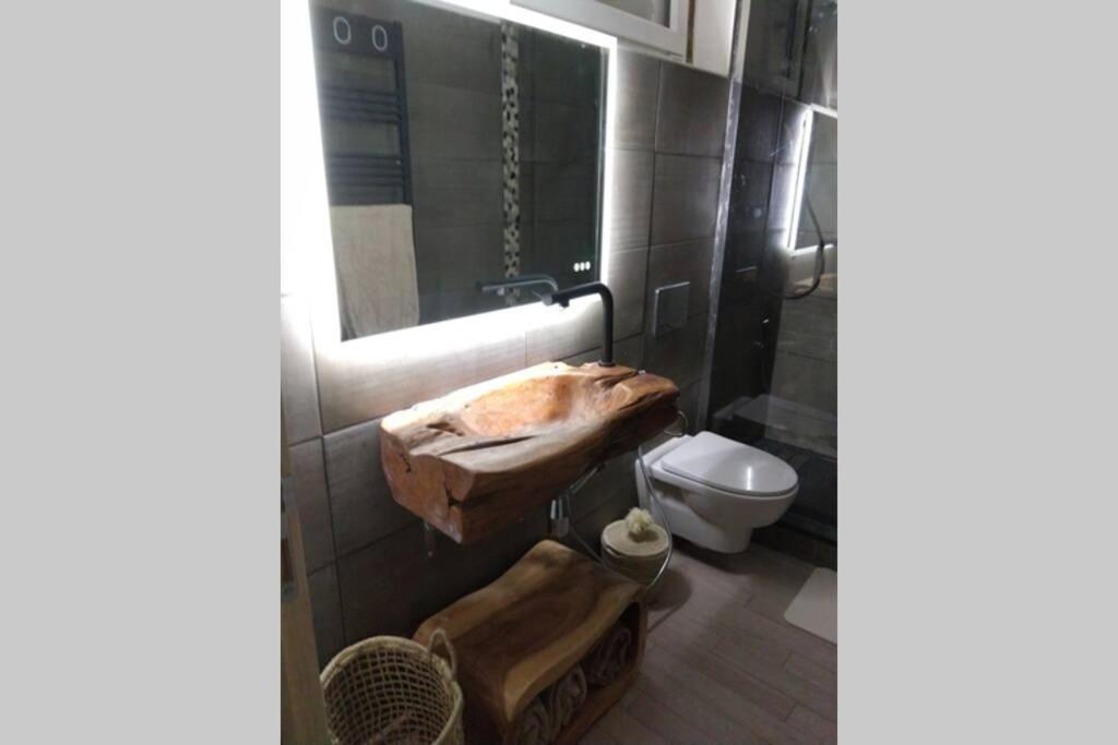 Chaleureux Petit Appartement De 4 Couchages Saint-Étienne-de-Tinée Zewnętrze zdjęcie